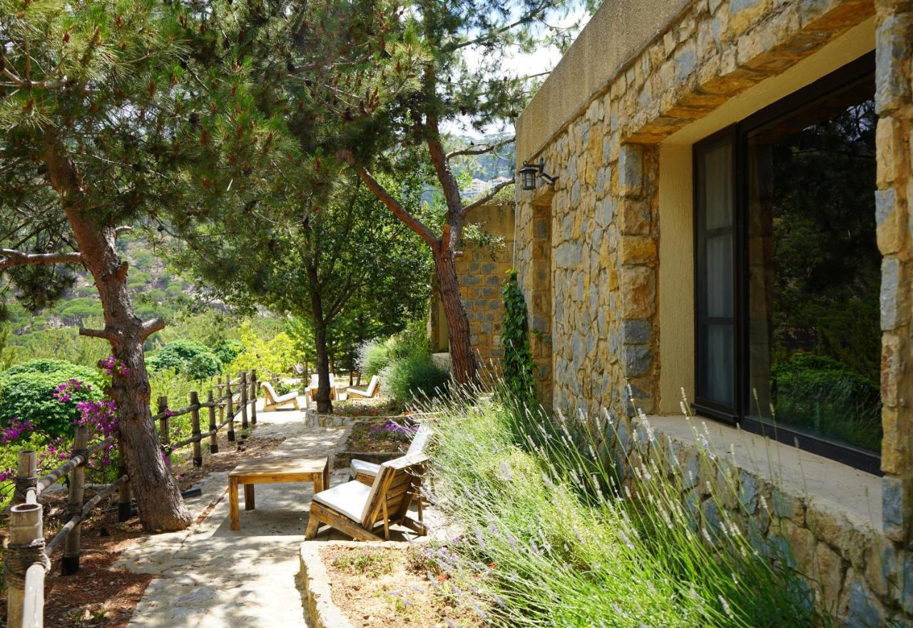 ג'זין Blue Jay Valley מראה חיצוני תמונה